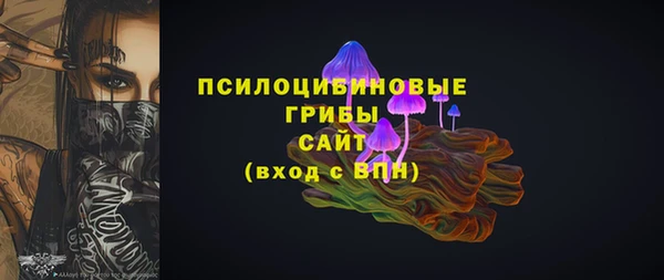 Альфа ПВП Алзамай