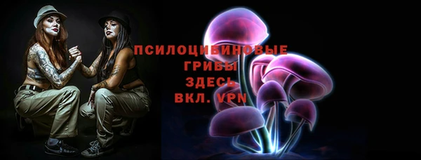 Альфа ПВП Алзамай