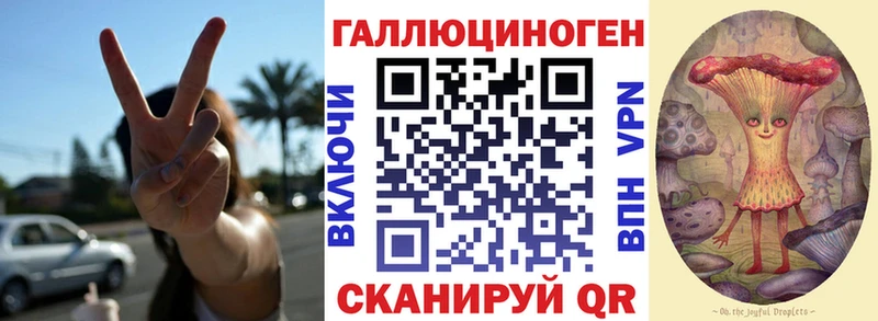 ссылка на мегу   Западная Двина  Псилоцибиновые грибы Psilocybe 